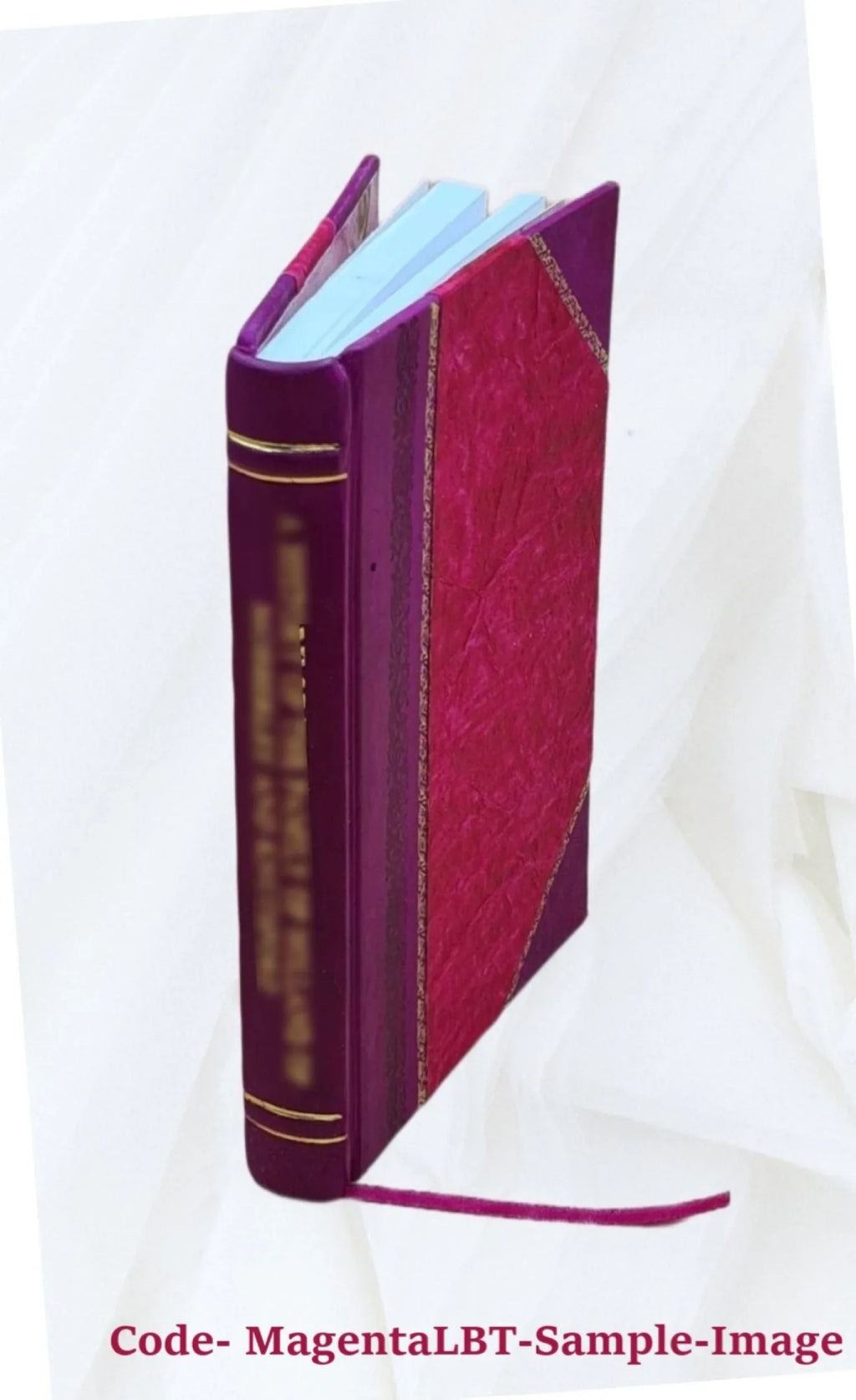 Vindiciae disputationis de idea boni apud Platonem / indicit Carolus Fridericus Hermann. 1839 [Leather Bound]