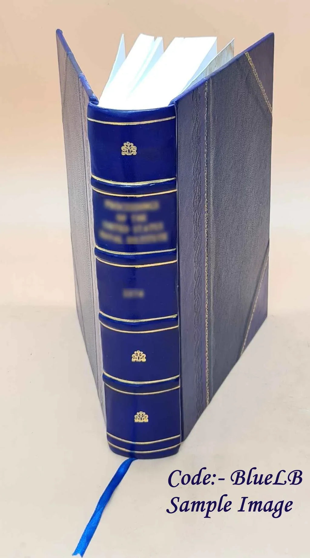 Future Liquid activities and their implications for the Coast Guard circa 1978-2000 / Charles W. Williams ... [et al.]. v.3. Volume v.3 1978 [Leather Bound]