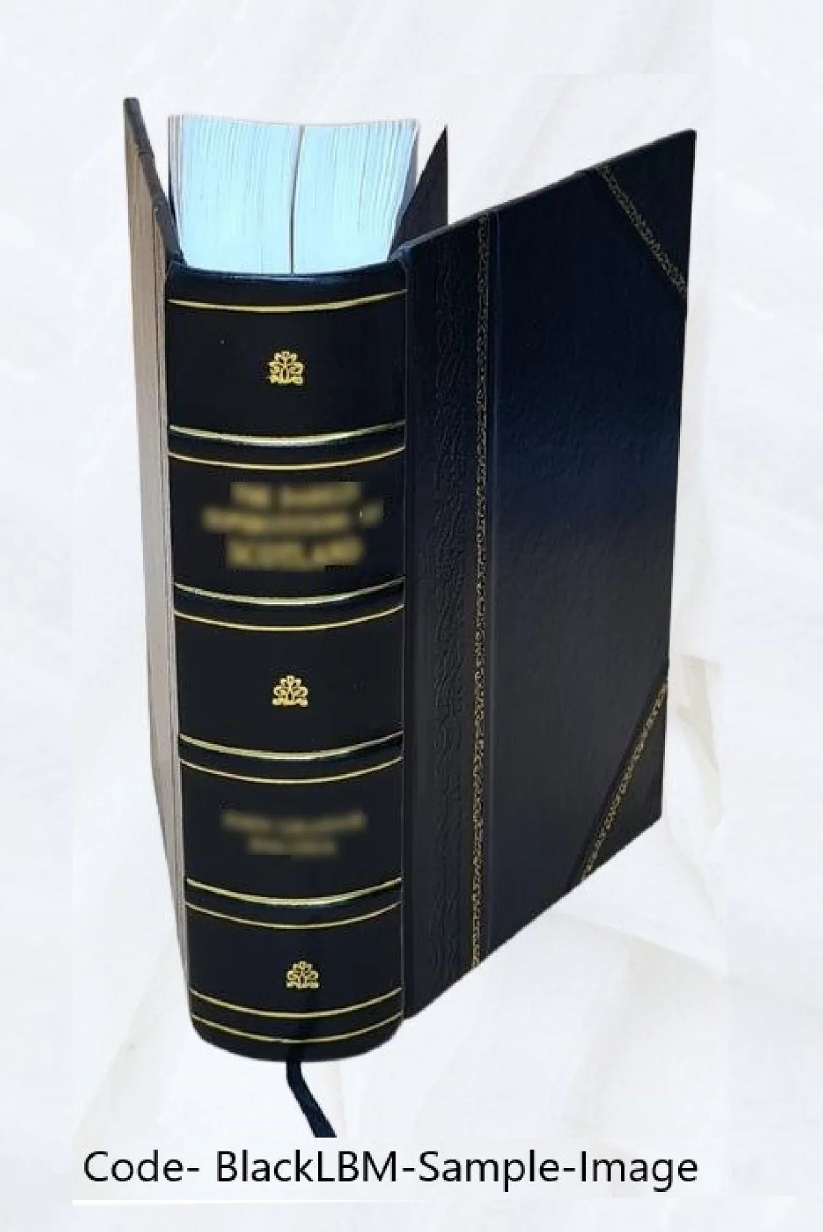 [(Soundex) index to 1900 census, Alabama] Volume Alabama - T1030 - H-400 Charles-H-400 Marvin R. 1900 [Leather Bound]