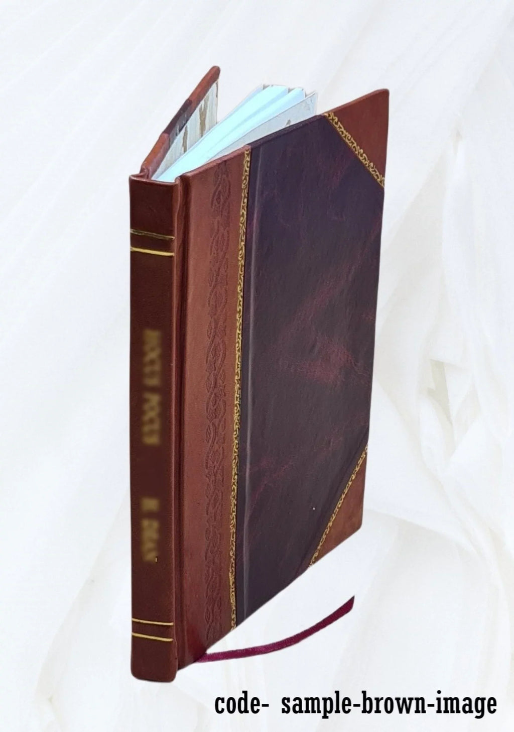 Orion Volume November, 1921 (vol. VI, no. 1) 1921 [Leather Bound]