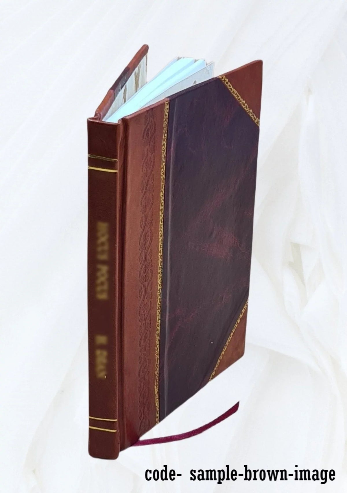 Orion Volume November, 1921 (vol. VI, no. 1) 1921 [Leather Bound]