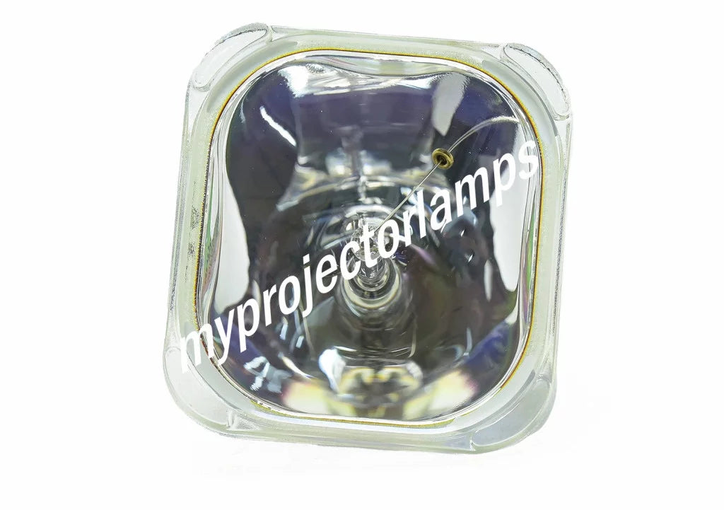 LP-XG2 Bare Projector Lamp