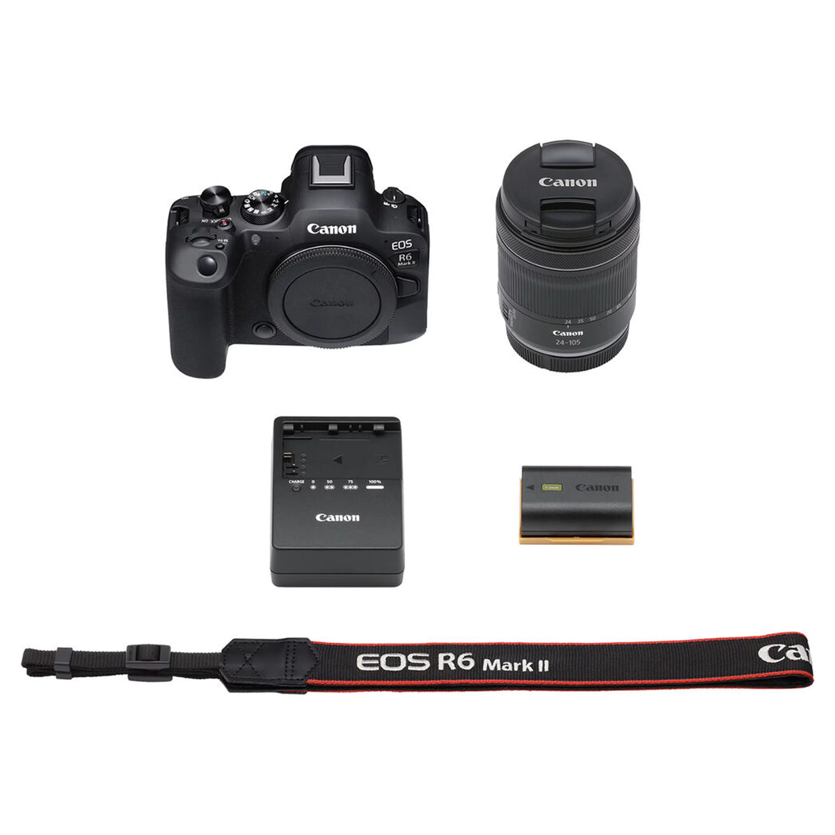 EOS R6 Mark II Mirrorless Digital Camera with RF 24-105mm f/4-7.1 STM Lens + 64GB Memory + Case+ Steady Grip Pod + Tripod+ Software Pack + More (30pc Bundle)