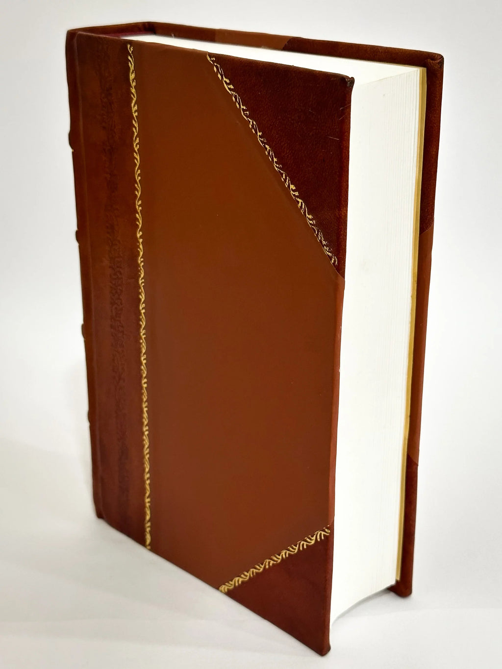 The Complete Works of Charlotte Bronte and Her Sisters. With Illus. from Photographs (1903) Volume 5 [Leather Bound]