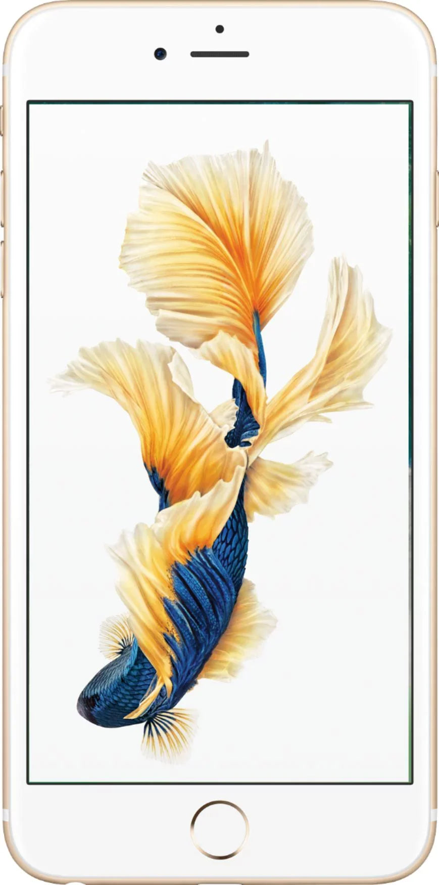 Pre-Owned iPhone 6S 64GB Gold Unlocked + Speed Talk Sim Card (Refurbished: Good)