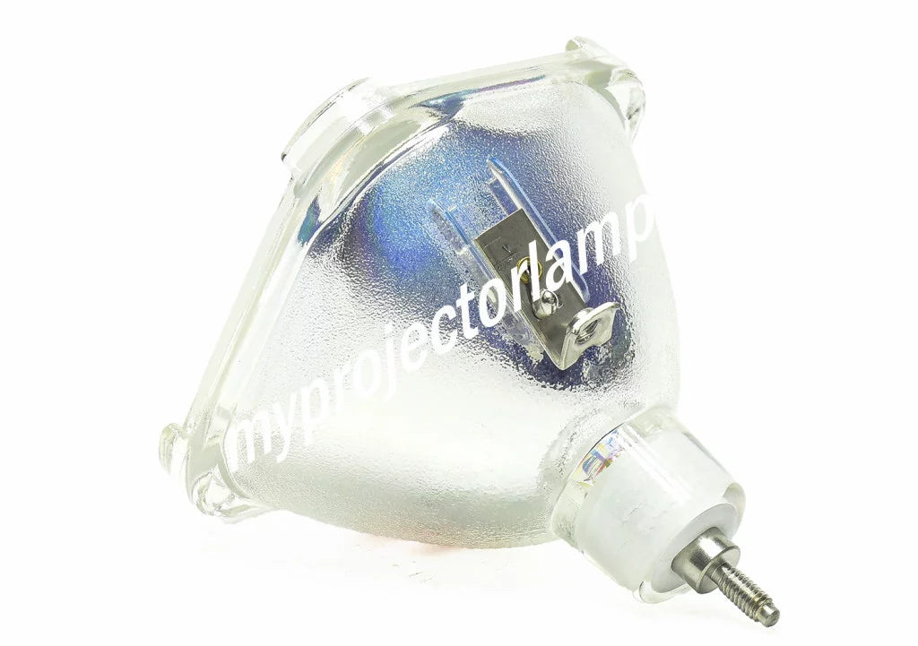 LP-XG2 Bare Projector Lamp