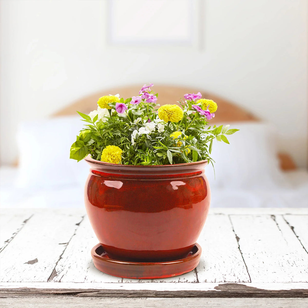 Southern Patio Wisteria 8" Round Ceramic Planter Pot with Saucer, (4 Pack)