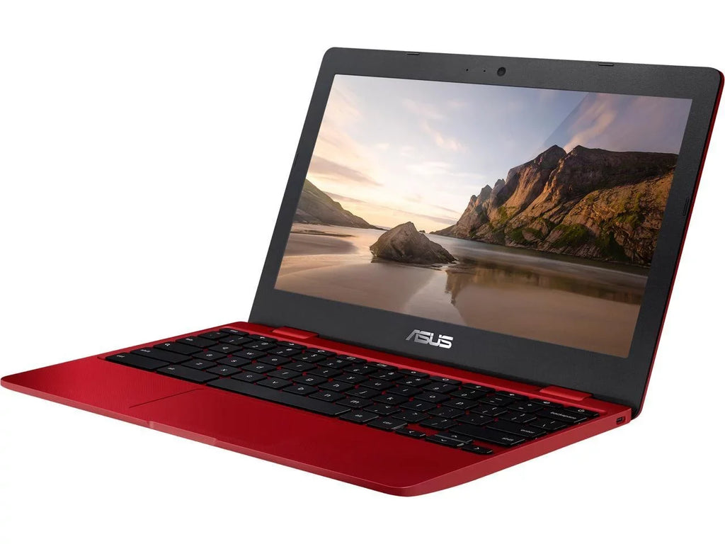 Chromebook Mobile pc in Red, 12, Celeron, 32GB Flash Storage, 4GB RAM, C223NA-DH02-RD
